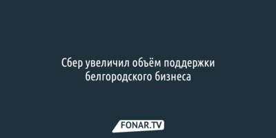 Сбер увеличил объём поддержки белгородского бизнеса