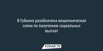 В Губкине разоблачили мошенническую схему по получению социальных выплат