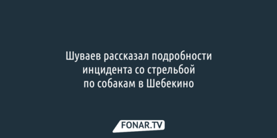 Шуваев прокомментировал инцидент со стрельбой по собакам в Шебекино