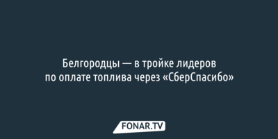 В Черноземье белгородцы вошли в тройку лидеров по оплате топлива через «СберСпасибо»