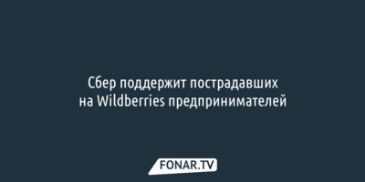 Сбер поддержит пострадавших на Wildberries предпринимателей