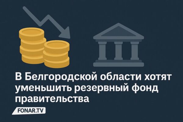 ​В Белгородской области хотят уменьшить резервный фонд правительства