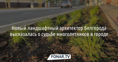 Новый ландшафтный архитектор Белгорода высказалась о судьбе многолетников в городе