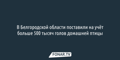 В Белгородской области поставили на учёт больше 500 тысяч голов домашней птицы