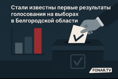 Стали известны первые результаты голосования на выборах в Белгородской области