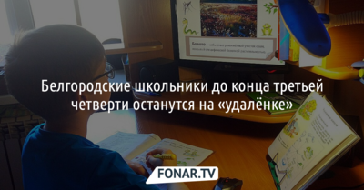 Белгородские школьники до конца третьей четверти останутся на «удалёнке»
