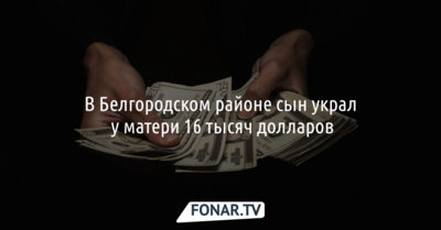 В Белгородском районе сын украл у матери 16 тысяч долларов