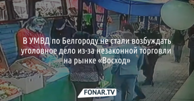 В УМВД по Белгороду не стали возбуждать уголовное дело из-за незаконной торговли на рынке «Восход»