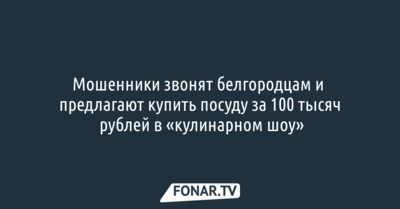 Мошенники звонят белгородцам и предлагают купить посуду за 100 тысяч рублей в «кулинарном шоу»