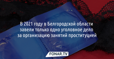 В 2021 году в Белгородской области завели только одно уголовное дело за организацию занятий проституцией