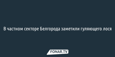 В частном секторе Белгорода заметили гуляющего лося