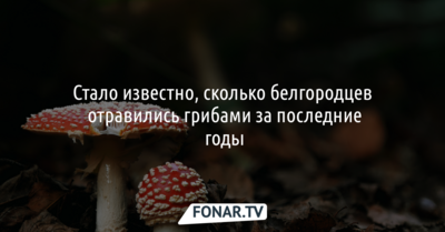 Стало известно, сколько белгородцев отравились грибами за последние годы