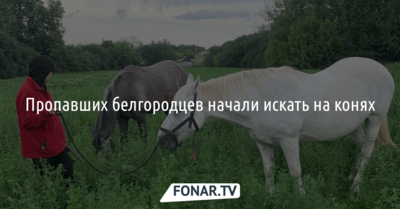 Пропавших белгородцев начали искать на конях