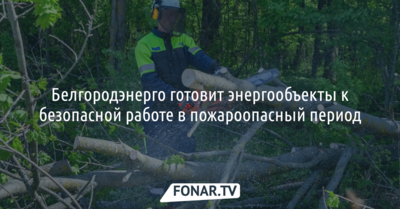 Белгородские энергетики готовят энергообъекты к безопасной работе в пожароопасный период