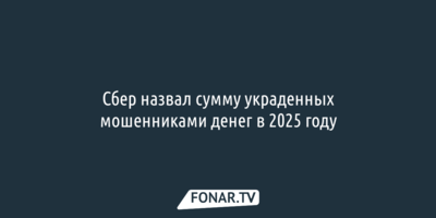 Сбер назвал сумму украденных мошенниками денег в 2025 году