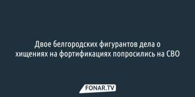 Двое белгородских фигурантов дела о хищениях на фортификациях попросились на СВО