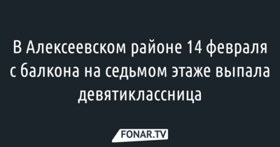 В Белгородской области 14 февраля с балкона на седьмом этаже выпала девятиклассница