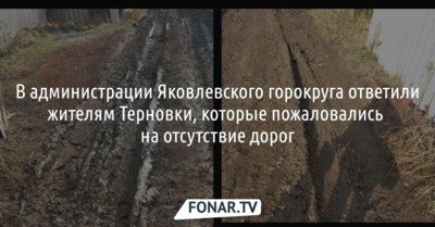 В администрации Яковлевского горокруга ответили жителям Терновки, которые пожаловались на отсутствие дорог