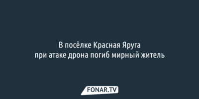 В Белгородской области при атаке дрона на автомобиль погиб мужчина