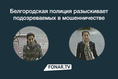 Белгородская полиция разыскивает подозреваемых в мошенничестве [видео]
