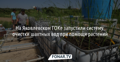 На Яковлевском ГОКе запустили систему очистки шахтных вод при помощи растений