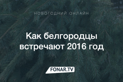 Новогодние праздники-2016. Хроника событий в Белгороде и области