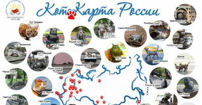 Белгородский памятник появится на кошачьей карте России