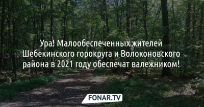 Ура! Жителей Шебекинского горокруга и Волоконовского района в 2021 году обеспечат валежником!  