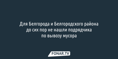 Для Белгорода и Белгородского района до сих пор не нашли подрядчика по вывозу мусора