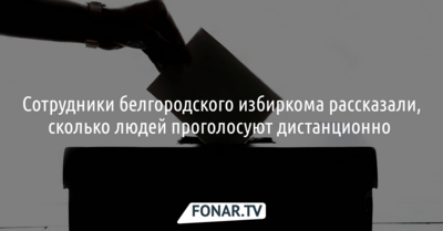 В облизбиркоме назвали, сколько белгородцев проголосуют дистанционно на выборах президента