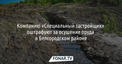 Компанию «Специальный застройщик» оштрафуют за осушение пруда в Белгородском районе