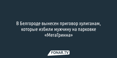 Суд вынес приговор хулиганам, которые избили мужчину на парковке «МегаГринна»