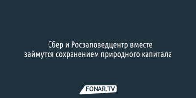 ​Сбер и Росзаповедцентр вместе займутся сохранением природного капитала