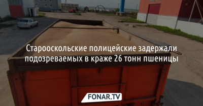 Старооскольские полицейские задержали подозреваемых в краже 26 тонн пшеницы