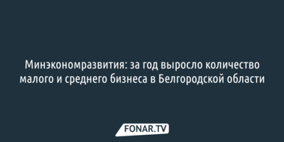 Минэкономразвития: за год выросло количество малого и среднего бизнеса в Белгородской области