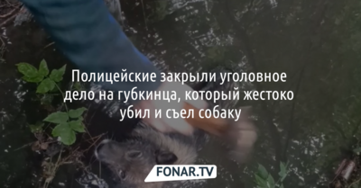 Белгородские полицейские закрыли уголовное дело на мужчину, который жестоко убил и съел собаку