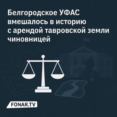 Белгородское УФАС вмешалось в историю с арендой тавровской земли чиновницей 