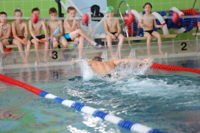 В Белгороде определили победителей турнира по плаванию среди любителей