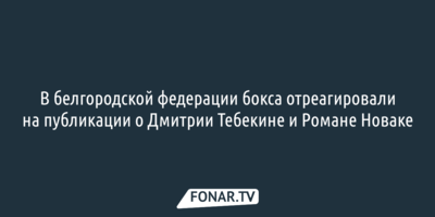В белгородской федерации бокса отреагировали на публикации о Дмитрии Тебекине и Романе Новаке