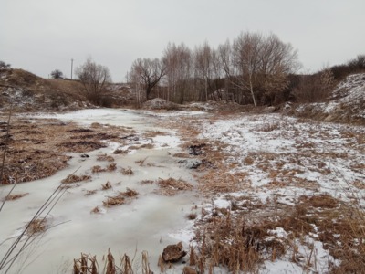 «Если обещали, то надо делать». В селе Белгородской области власти третий год не могут очистить пруд