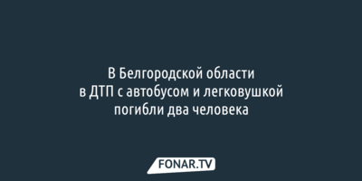 В Белгородской области в ДТП с автобусом и легковушкой погибли два человека