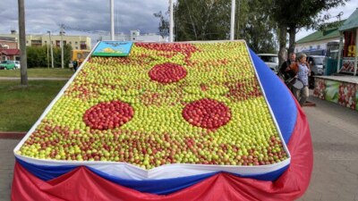 ​В Корочанском районе выложили самый большой в России герб из яблок