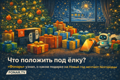 Что положить под ёлку? «Фонарь» узнал, о каких подарках под Новый год мечтают белгородцы