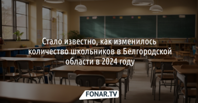 Стало известно, как изменилось количество школьников в Белгородской области в 2024 году