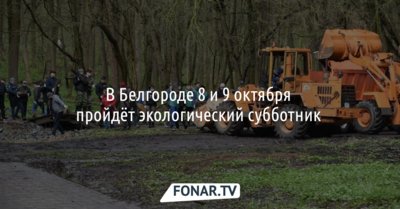 В Белгороде проведут экологический субботник 
