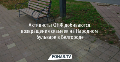 Активисты ОНФ добиваются возвращения скамеек на Народном бульваре в Белгороде