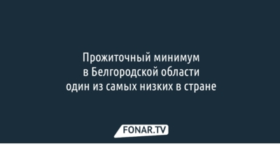 Прожиточный минимум в Белгородской области один из самых низких в стране