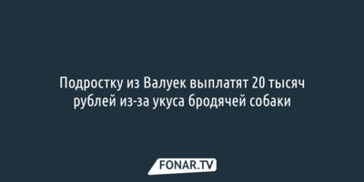 Подростку из Валуек выплатят 20 тысяч рублей из-за укуса бродячей собаки