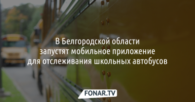 В Белгородской области запустят мобильное приложение для отслеживания школьных автобусов