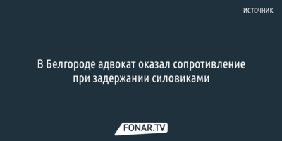 Источник: В Белгороде адвокат оказал сопротивление при задержании силовиками [обновлено]